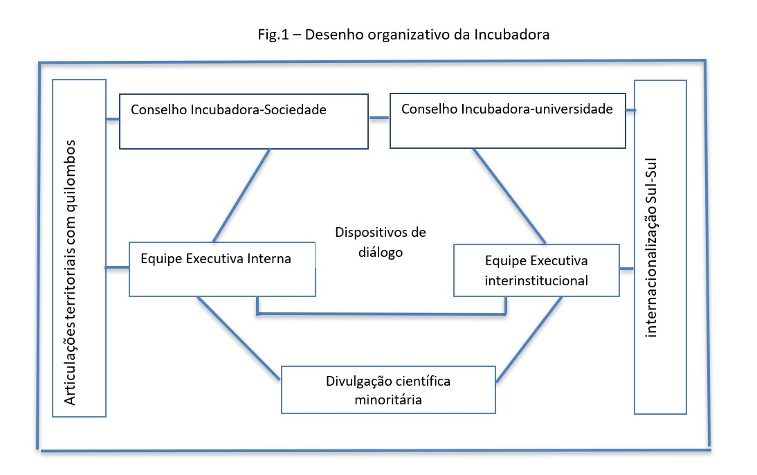 infografico da organizaçao institucional da incubadora social