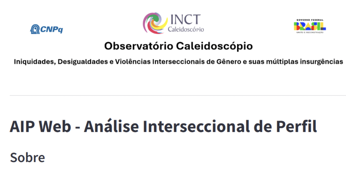 painel AIP- Analise intersecional de Perfil