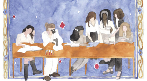 Ilustração sobre o Index da Igualdade de Gênero nas Universidades Públicas de São Paulo (fonte: Revista Pesquisa Fapesp)