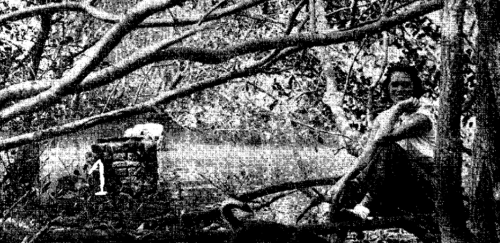 MIOC 51(1), 1953