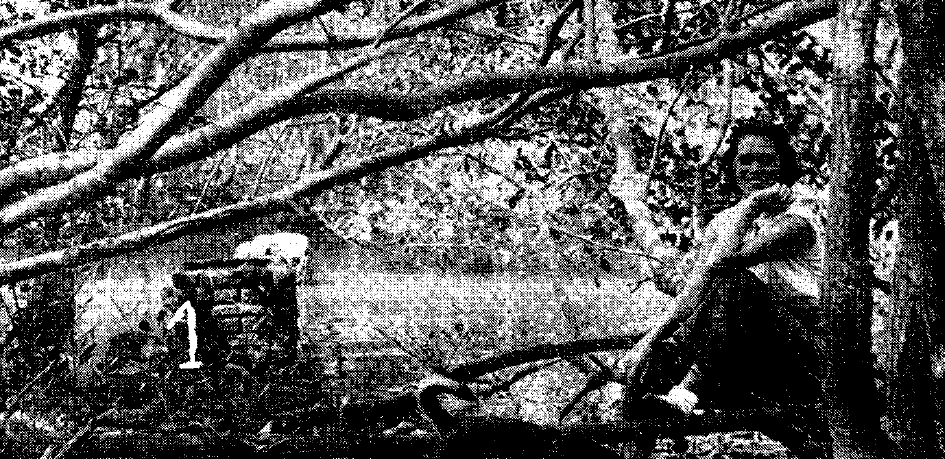 MIOC 51(1), 1953