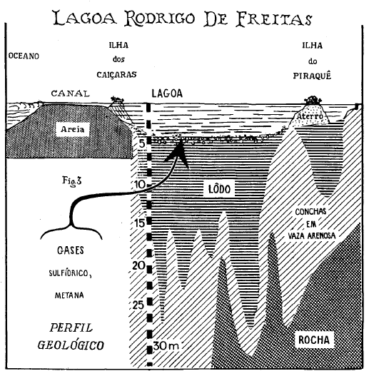 Lagoa Rodrigo de Freitas - MIOC, 55(2), 1957.