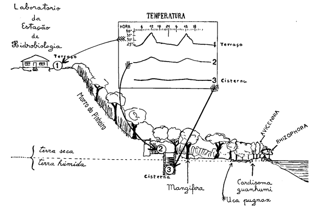 Perfil cisterna - MIOC, 51(1), 1953