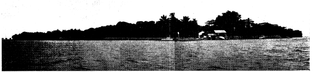 Vista geral da Ilha do Pinheiro - MIOC 51(1), 1953.