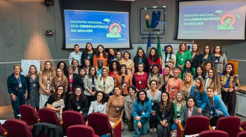 Encontro Nacional de Observatórios da Mulher promovido pelo Observatório da Mulher contra a Violência
