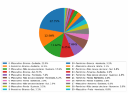 Gráfico em pizza de perfis interseccionais dos detentores de bolsa Pq-CNPq em Oceanografia (2024), distribuídos por porcentagem. Gerado a partir de pesquisa realizada com o software AIP (Feltrin, 2024).