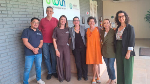 Foto: Reunião Inova, Imcap, Pagu e INCT - maio 2025. Arquivo INCT - Observatório Caleidoscópio